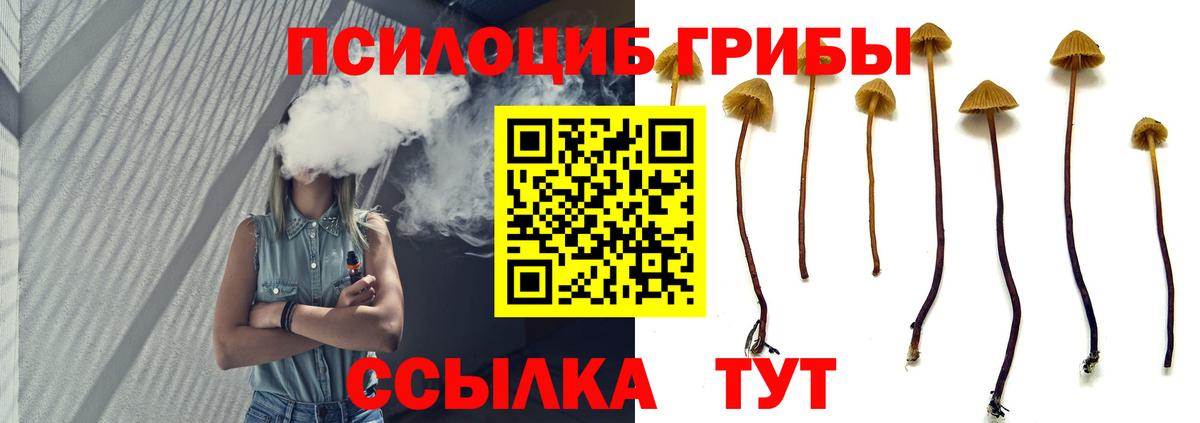 Псилоцибиновые грибы Magic Shrooms  Вход с VPN  Бугуруслан  Галлюциногенные грибы мицелий 